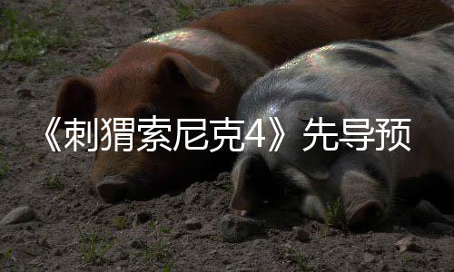尼克空降磅新重猬索角色预告先导袭来刺强势