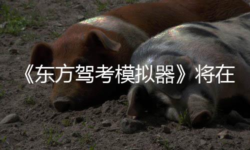 拟器日登考模在1方驾平台陆S将2月东