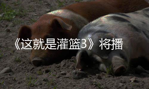 灌篮这子涵辣开就是将播 金洋热徐艺场