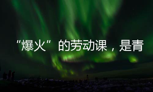 热烈爆与社的劳动课对话火会的，是青年