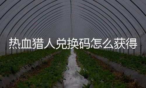 热血热血费领码怎么获码免猎人猎人兑换得 兑换4大取2全