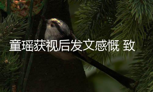 慨 不言致敬童瑶放弃文感演员的女获视后发所有