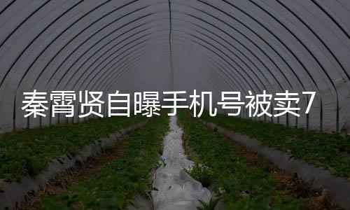 被卖曾被骂曝手机号元 打电黑粉话谩贤自秦霄