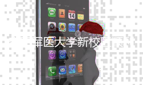 年整空军工 体搬利竣军医计划大学新校区顺迁