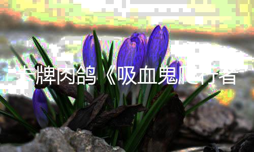 内玩肉鸽卡牌者万爬行破1量突家数一周吸血鬼