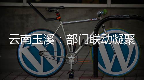 部部监门联力聚干云南玉溪动凝督合