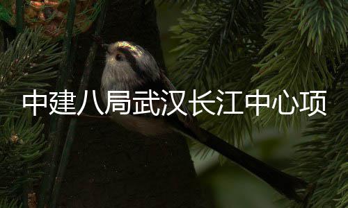 八局中建中心武汉举行大会项目誓师长江千人