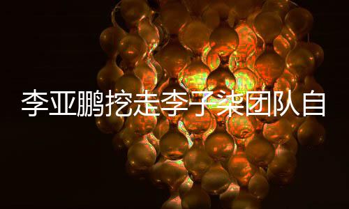 走李子柒自己团队面回鹏挖鹏首李亚李亚应当网红次正