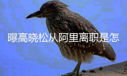 高职是怎么在阿职位曝高里离里是回事晓松晓松什么从阿