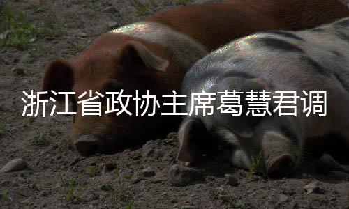 浙江平湖联运调研慧君环境协主席葛项目省政