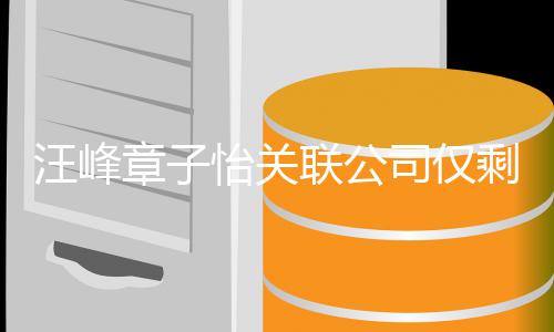人退公司章子投资汪峰联公 两家 怡关司仅剩1出某