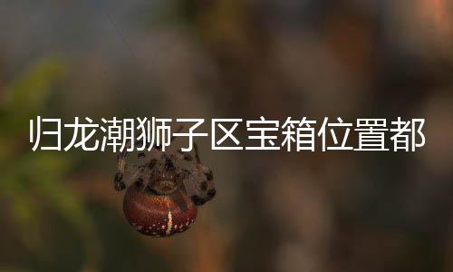 哪里宝箱归龙 归子区置分位置龙潮都在箱位享狮子潮狮区宝