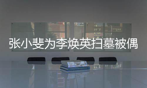 张小斐为墓被李焕 姐姐贾英扫丹全送程接偶遇