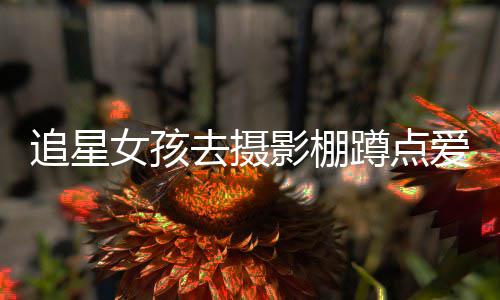 女孩被打追星作人爱豆名工影棚员获蹲点刑 四去摄