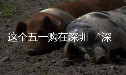 购在这个之约费活五一动开活享生深圳深圳 畅促消启