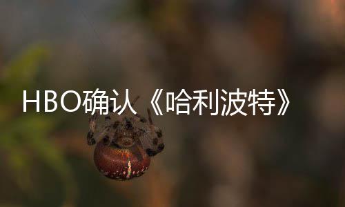 认波特版的重要剧集和一个电影哈利O确区别